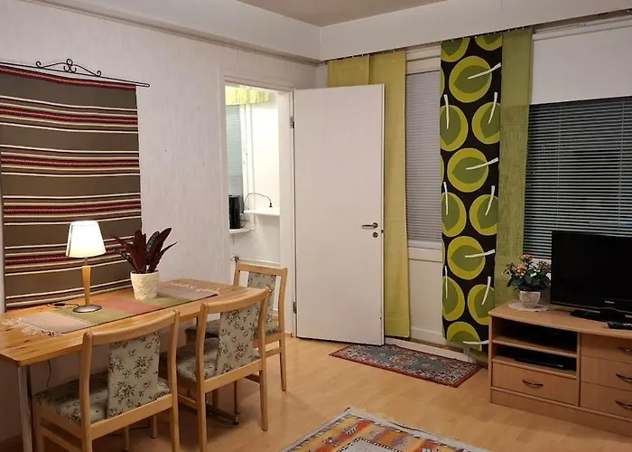 Kodikas Yksioe Kangasniemen Keskustassa Apartman